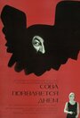 «Сова появляется днем» кадры фильма в хорошем качестве