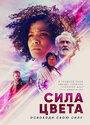 Фильм «Быстрый цвет» смотреть онлайн фильм в хорошем качестве 720p