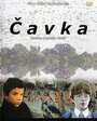 Фильм «Галка» смотреть онлайн фильм в хорошем качестве 720p