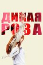 Фильм «Дикая Роза» смотреть онлайн фильм в хорошем качестве 720p