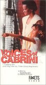 Фильм «Voices of Cabrini: Remaking Chicago's Public Housing» скачать бесплатно в хорошем качестве без регистрации и смс 1080p