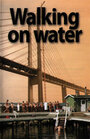 Фильм «Ходить по воде» скачать бесплатно в хорошем качестве без регистрации и смс 1080p