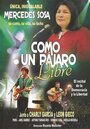 Фильм «Mercedes Sosa: como un pájaro libre» смотреть онлайн фильм в хорошем качестве 720p