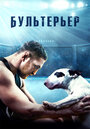 Фильм «Бультерьер» смотреть онлайн фильм в хорошем качестве 720p