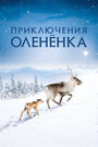 Фильм «Приключения оленёнка» смотреть онлайн фильм в хорошем качестве 1080p