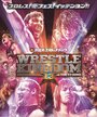 Фильм «NJPW Wrestle Kingdom 13» скачать бесплатно в хорошем качестве без регистрации и смс 1080p