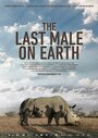 Фильм «Last Male Standing» смотреть онлайн фильм в хорошем качестве 720p