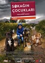 Фильм «Sokagin Çocuklari» смотреть онлайн фильм в хорошем качестве 720p