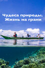 «Чудеса природы. Жизнь на грани» кадры фильма в хорошем качестве