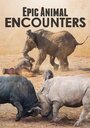 Сериал «Epic Animal Encounters» смотреть онлайн сериал в хорошем качестве 720p