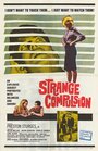 Фильм «Strange Compulsion» смотреть онлайн фильм в хорошем качестве 720p