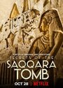 Фильм «Тайны саккарских гробниц» скачать бесплатно в хорошем качестве без регистрации и смс 1080p