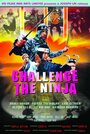 Фильм «Challenge of the Ninja» скачать бесплатно в хорошем качестве без регистрации и смс 1080p