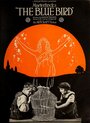 Фильм «Синяя птица» скачать бесплатно в хорошем качестве без регистрации и смс 1080p