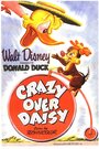 Фильм «Crazy Over Daisy» скачать бесплатно в хорошем качестве без регистрации и смс 1080p