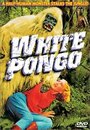 Фильм «White Pongo» смотреть онлайн фильм в хорошем качестве 720p