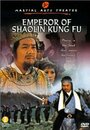 Фильм «Chuang wang li zi cheng» смотреть онлайн фильм в хорошем качестве 720p