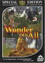 Фильм «Wonder of It All» смотреть онлайн фильм в хорошем качестве 1080p