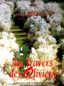 Фильм «Сквозь оливы» скачать бесплатно в хорошем качестве без регистрации и смс 1080p
