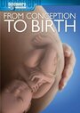 Фильм «From Conception to Birth» смотреть онлайн фильм в хорошем качестве 720p