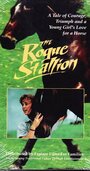 «The Rogue Stallion» трейлер фильма в хорошем качестве 1080p