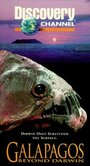 «Galapagos: Beyond Darwin» трейлер фильма в хорошем качестве 1080p