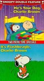 Фильм «It's Flashbeagle, Charlie Brown» скачать бесплатно в хорошем качестве без регистрации и смс 1080p