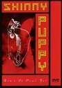 Фильм «Skinny Puppy: Ain't It Dead Yet?» скачать бесплатно в хорошем качестве без регистрации и смс 1080p