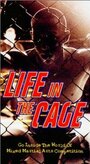 Фильм «Life in the Cage» смотреть онлайн фильм в хорошем качестве 720p