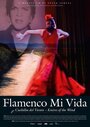 «Flamenco mi vida - Knives of the wind» кадры фильма в хорошем качестве