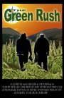 Фильм «The Green Rush» скачать бесплатно в хорошем качестве без регистрации и смс 1080p