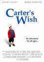 Фильм «Carter's Wish» смотреть онлайн фильм в хорошем качестве 720p