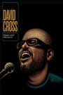 Фильм «David Cross: Bigger & Blackerer» скачать бесплатно в хорошем качестве без регистрации и смс 1080p