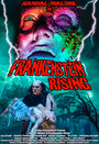 Фильм «Frankenstein Rising» скачать бесплатно в хорошем качестве без регистрации и смс 1080p