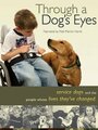 Фильм «Through a Dog's Eyes» смотреть онлайн фильм в хорошем качестве 1080p