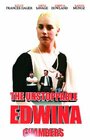 Фильм «The Unstoppable Edwina Chambers» смотреть онлайн фильм в хорошем качестве 1080p