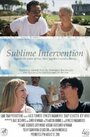 Sublime Intervention (2011)