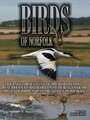 Фильм «Birds of Norfolk: A Bird Watchers Dream» смотреть онлайн фильм в хорошем качестве 1080p