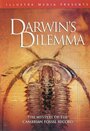 «Darwin's Dilemma» кадры фильма в хорошем качестве