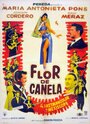 Фильм «Flor de canela» скачать бесплатно в хорошем качестве без регистрации и смс 1080p