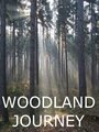 «Woodland Journey» кадры фильма в хорошем качестве