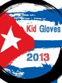 Фильм «Kid Gloves» скачать бесплатно в хорошем качестве без регистрации и смс 1080p