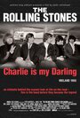 «The Rolling Stones: Чарли — моя лапочка» кадры фильма в хорошем качестве