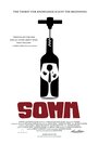 Фильм «Somm» смотреть онлайн фильм в хорошем качестве 1080p