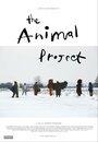 Фильм «The Animal Project» скачать бесплатно в хорошем качестве без регистрации и смс 1080p