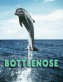 «Bottlenose» кадры фильма в хорошем качестве