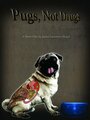 Фильм «Pugs, Not Drugs» скачать бесплатно в хорошем качестве без регистрации и смс 1080p