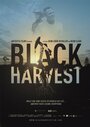 Black Harvest (2014)