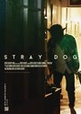 «Stray Dog» кадры фильма в хорошем качестве