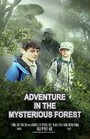 Фильм «Adventure in the Mysterious Forest» смотреть онлайн фильм в хорошем качестве 720p